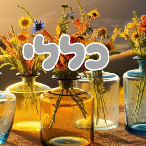 מוצרים כללים