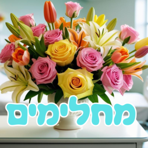 מחלימים